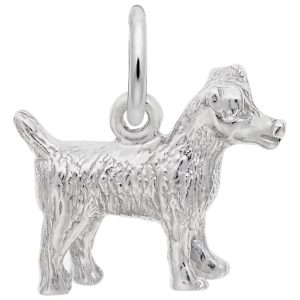 SS JACK RUSSELL TERRIER