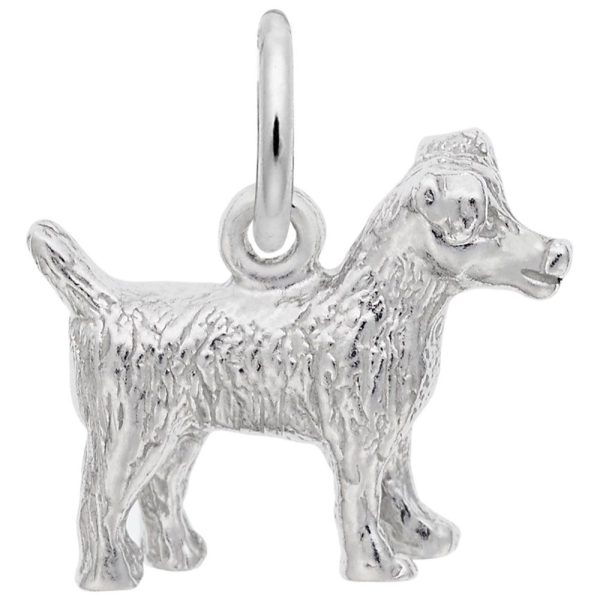 SS JACK RUSSELL TERRIER