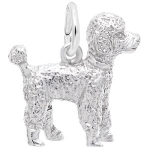 SS POODLE