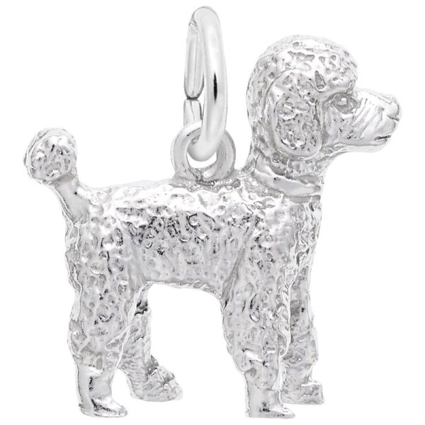 SS POODLE
