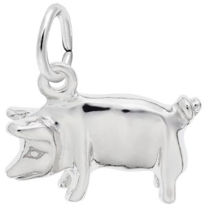 SS PIG