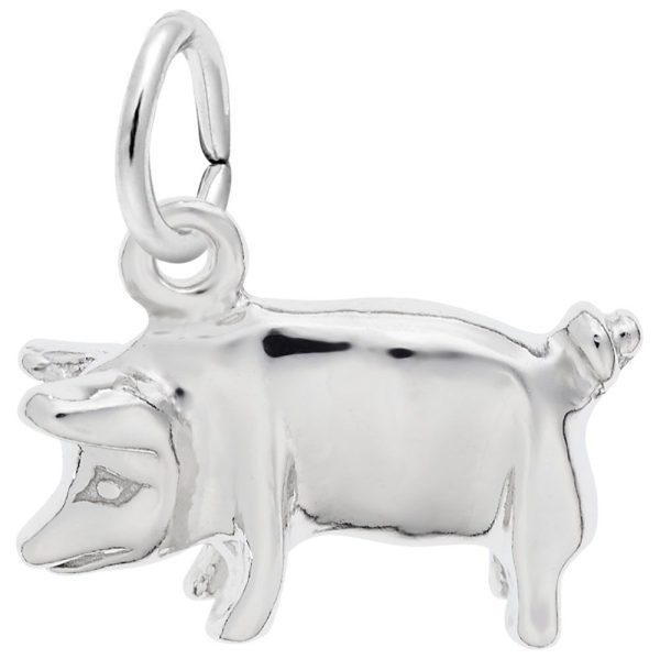 SS PIG