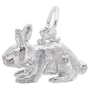 SS RABBIT