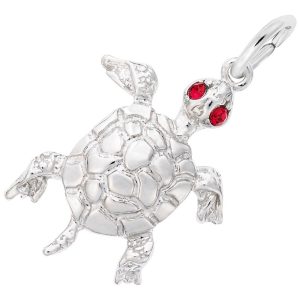 SS TURTLE