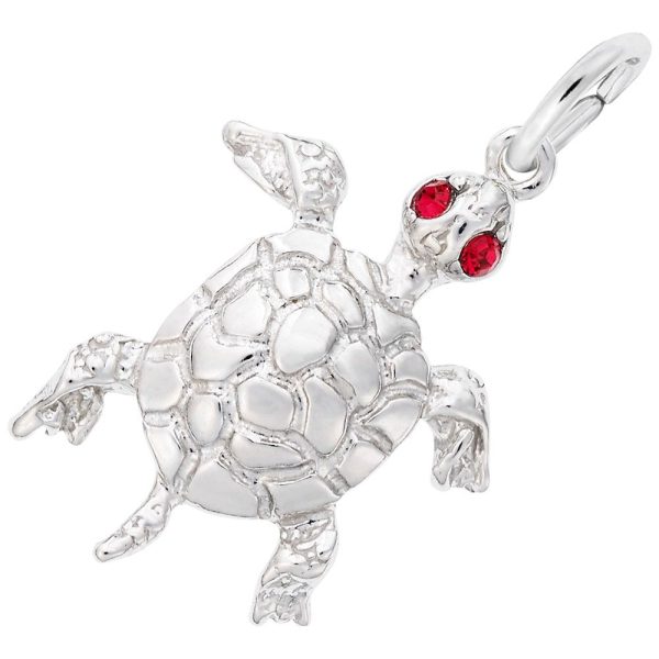 SS TURTLE